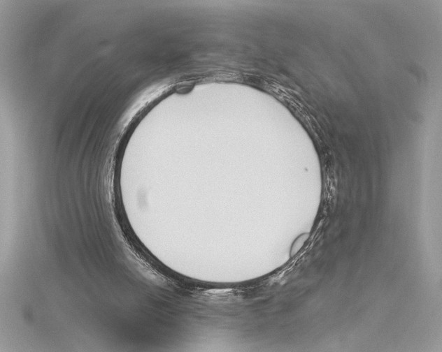 X0000115520054200912040937