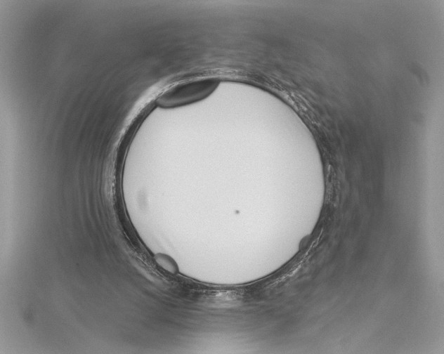 X0000115520056200912040937