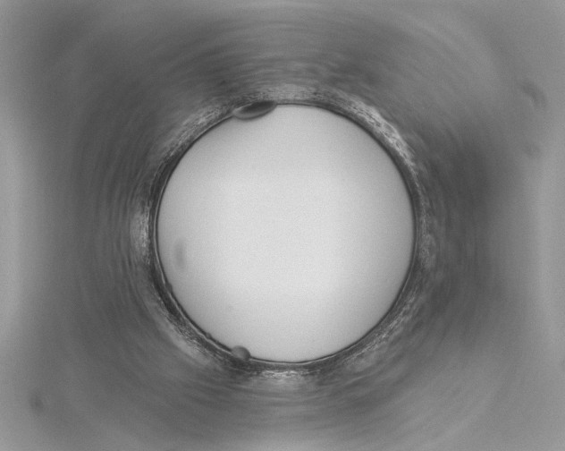 X0000115520057200912040937