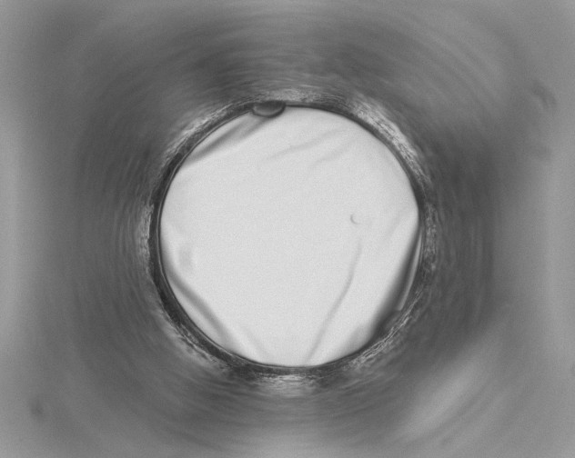 X0000115520058200912040937