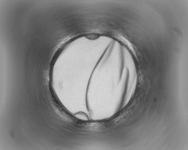 X0000115520059200912040937