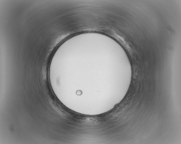 X0000115520060200912040937