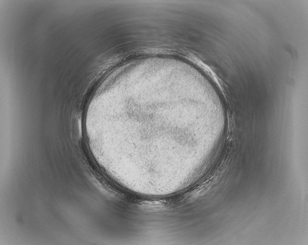 X0000115520061200912040937