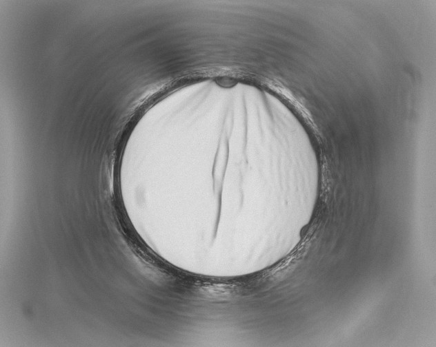 X0000115520062200912040937