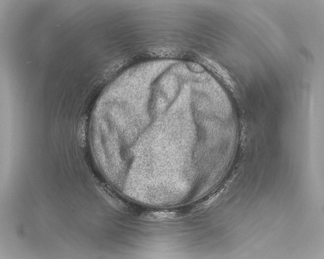 X0000115520065200912040937