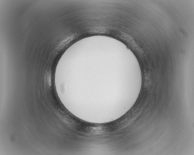 X0000115520068200912040937