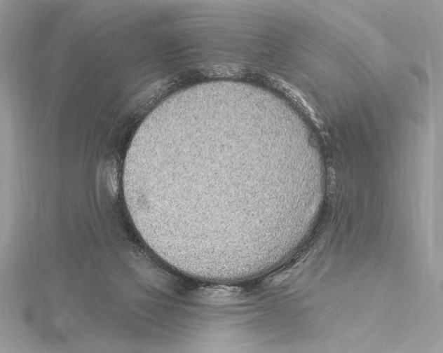 X0000115520069200912040937