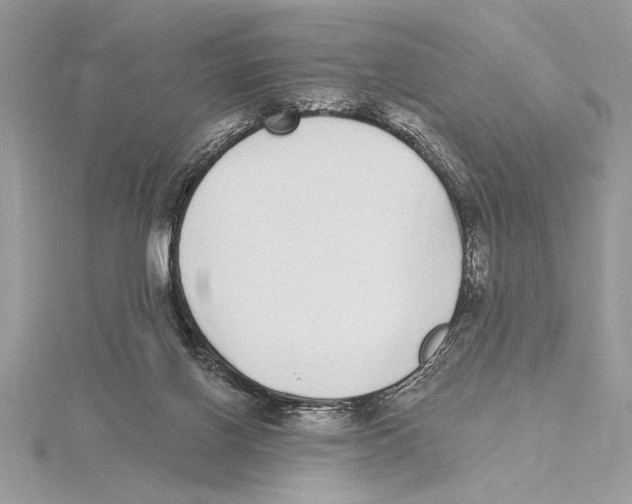 X0000115520070200912040937