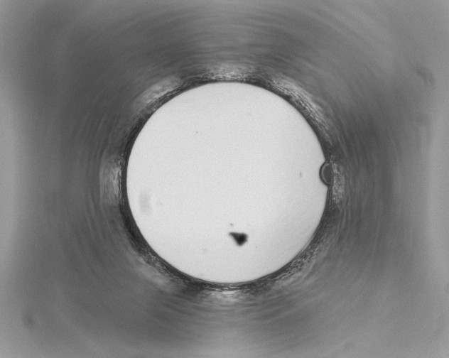 X0000115520071200912040937