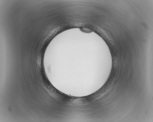 X0000115520072200912040937