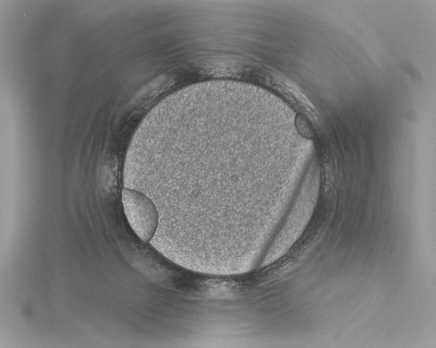 X0000115520073200912040937