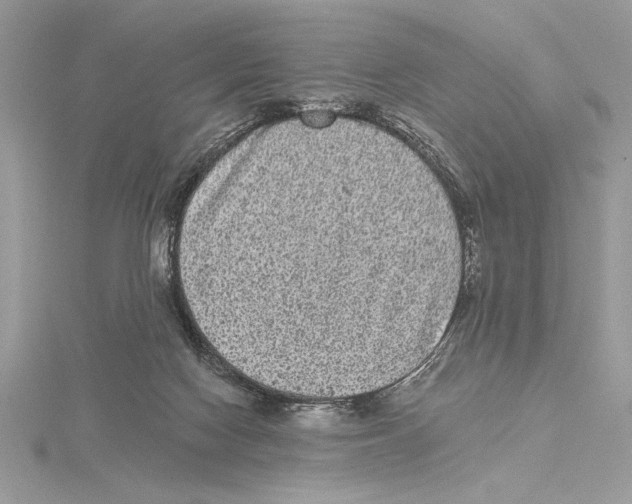 X0000115520074200912040937