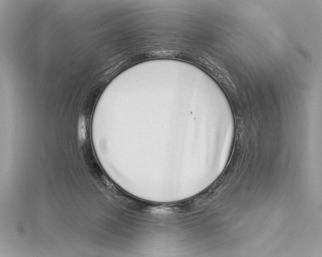 X0000115520075200912040937