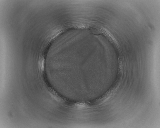 X0000115520076200912040937