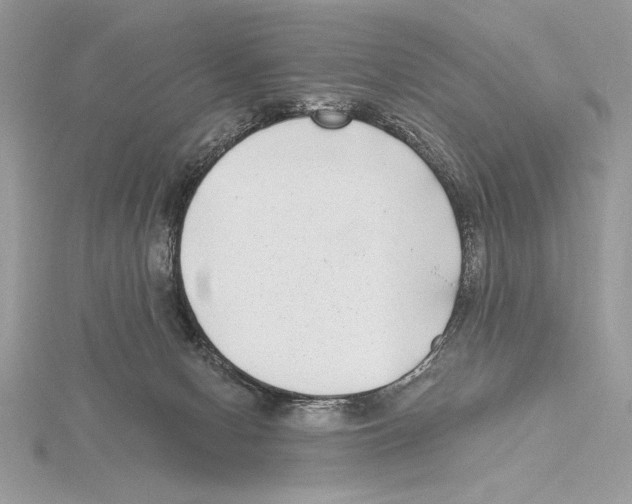 X0000115520078200912040937