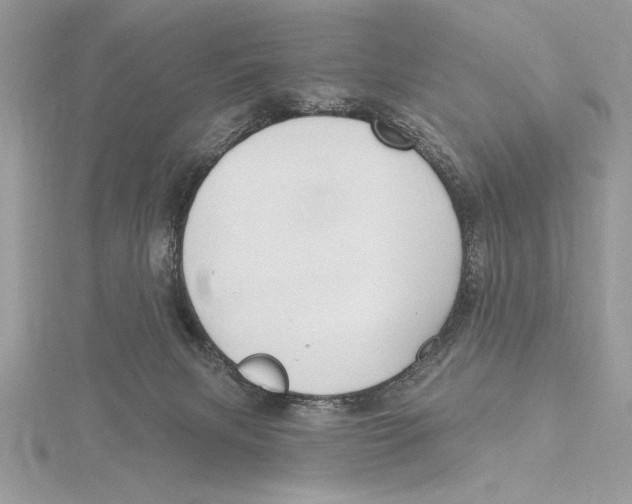 X0000115520079200912040937