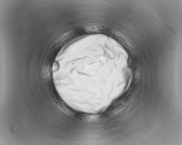 X0000115520081200912040937