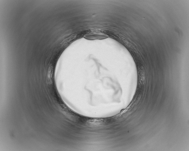 X0000115520082200912040937