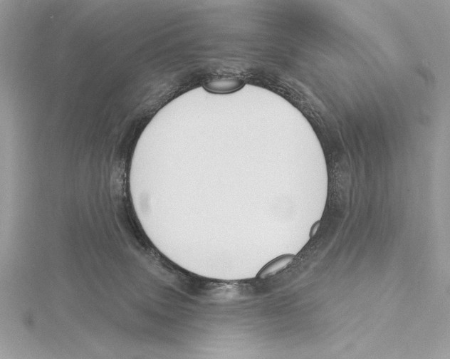 X0000115520083200912040937