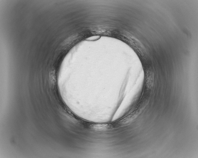 X0000115520085200912040937