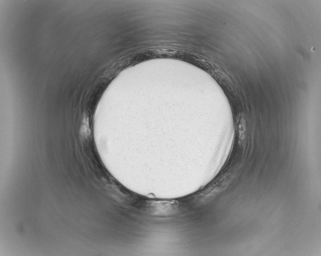 X0000115520089200912040937