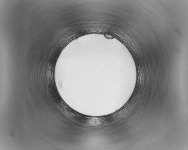 X0000115520091200912040937