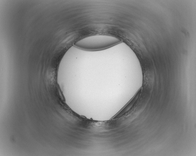 X0000115520092200912040937