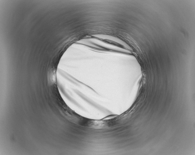 X0000115520095200912040937