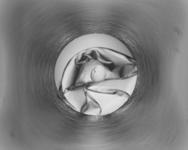 X0000115520096200912040937