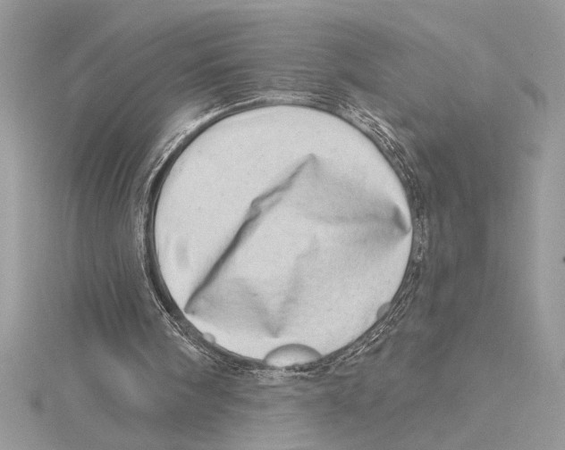 X0000115520098200912040937