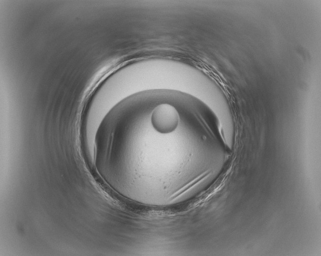 X0000115520101200912040937