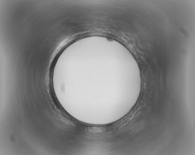 X0000115520102200912040937