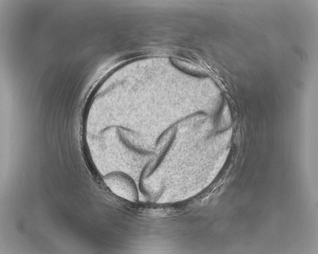 X0000115520103200912040937