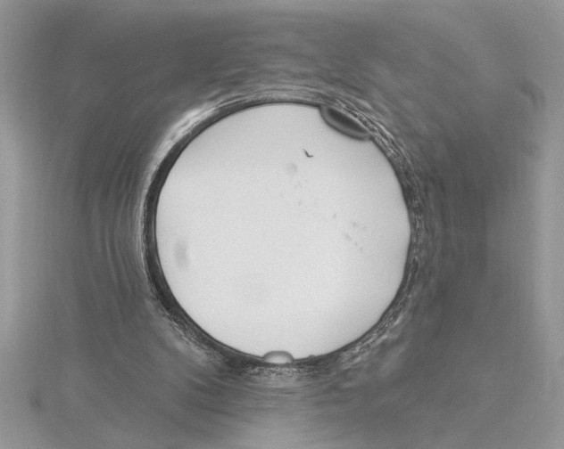 X0000115520104200912040937