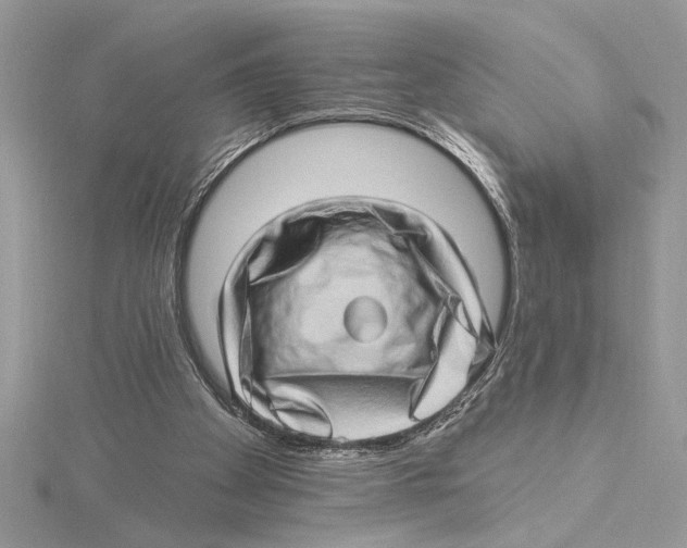 X0000115520105200912040937