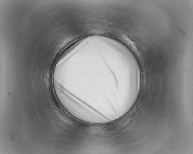 X0000115520106200912040937