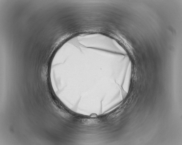 X0000115520107200912040937