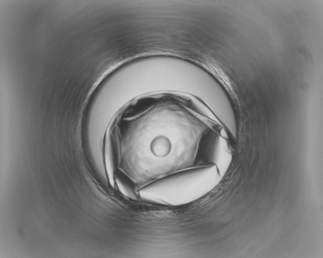 X0000115520108200912040937