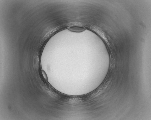 X0000115520109200912040937