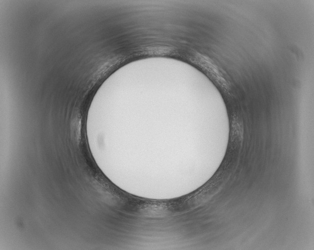 X0000115520110200912040937