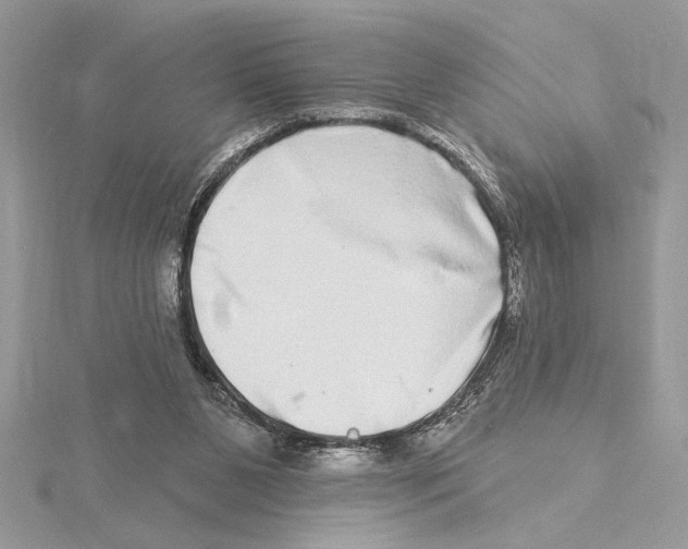 X0000115520111200912040937