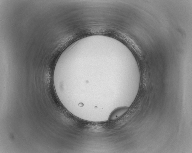 X0000115520113200912040937