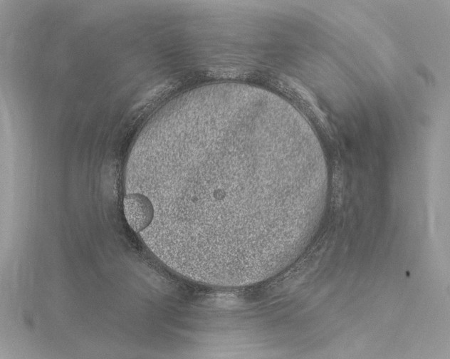 X0000115520114200912040937