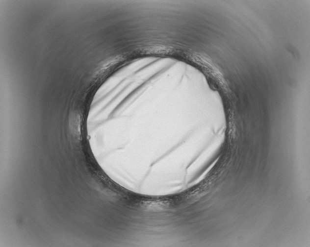 X0000115520115200912040937