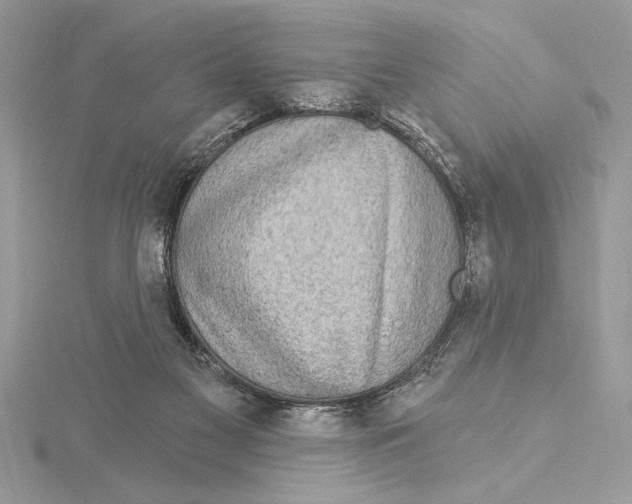 X0000115520117200912040937