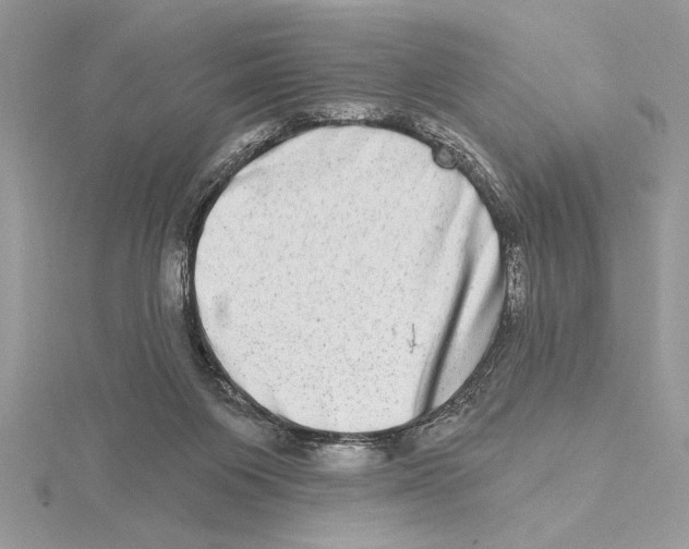 X0000115520119200912040937