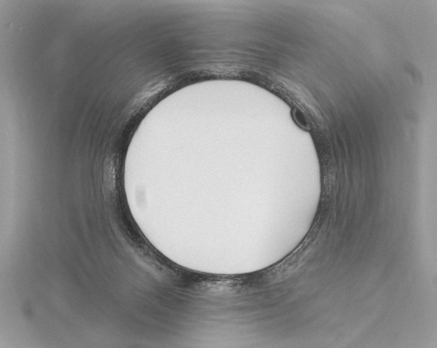 X0000115520120200912040937