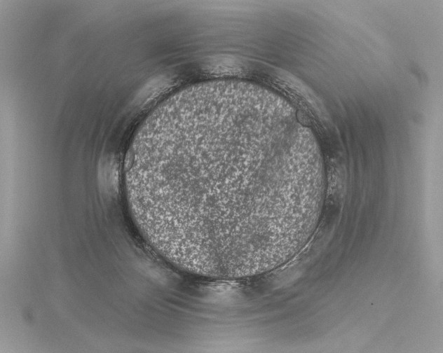 X0000115520124200912040937