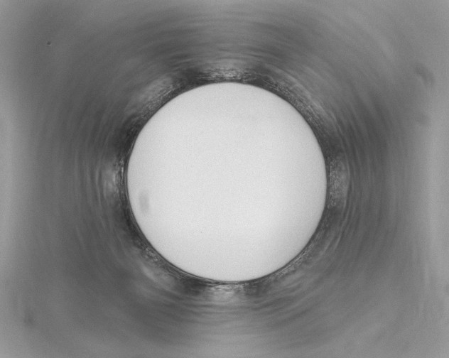 X0000115520126200912040936