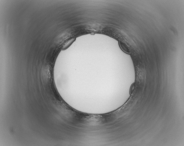 X0000115520128200912040936